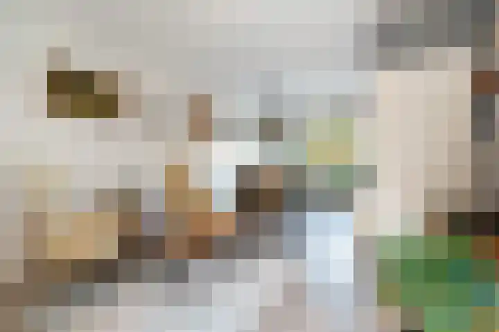 Bermweg 64 Capelle aan den IJssel thumbnail 9