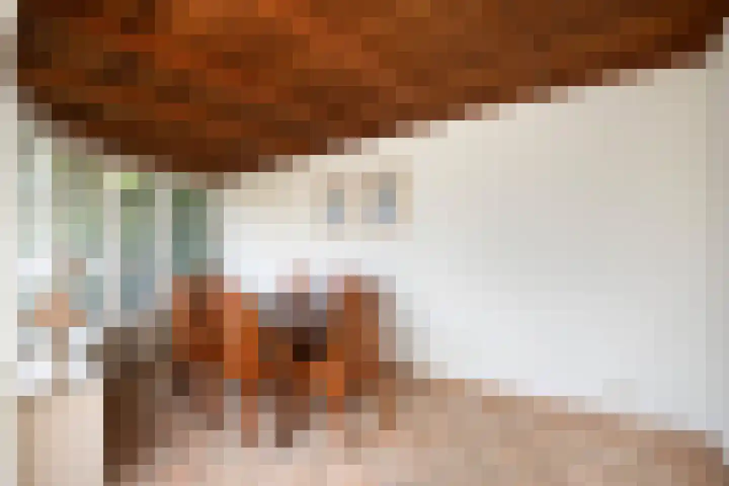 Bermweg 82 Capelle aan den IJssel thumbnail 21
