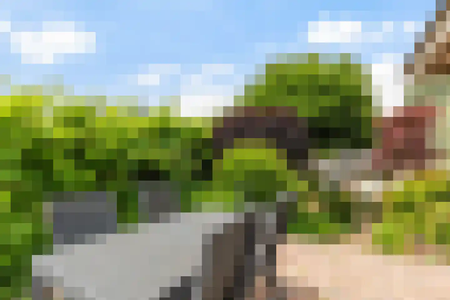 Bermweg 82 Capelle aan den IJssel thumbnail 26