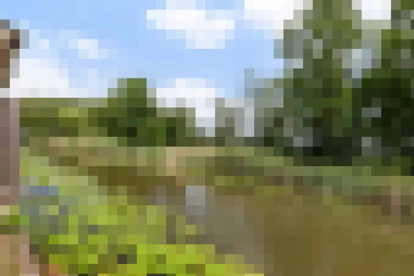 Bermweg 82 Capelle aan den IJssel thumbnail 28