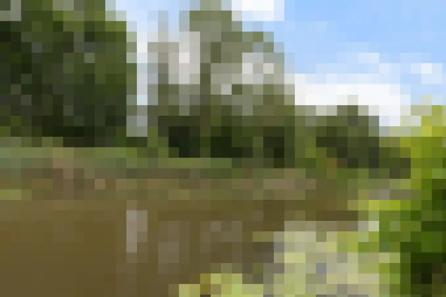 Bermweg 82 Capelle aan den IJssel thumbnail 29