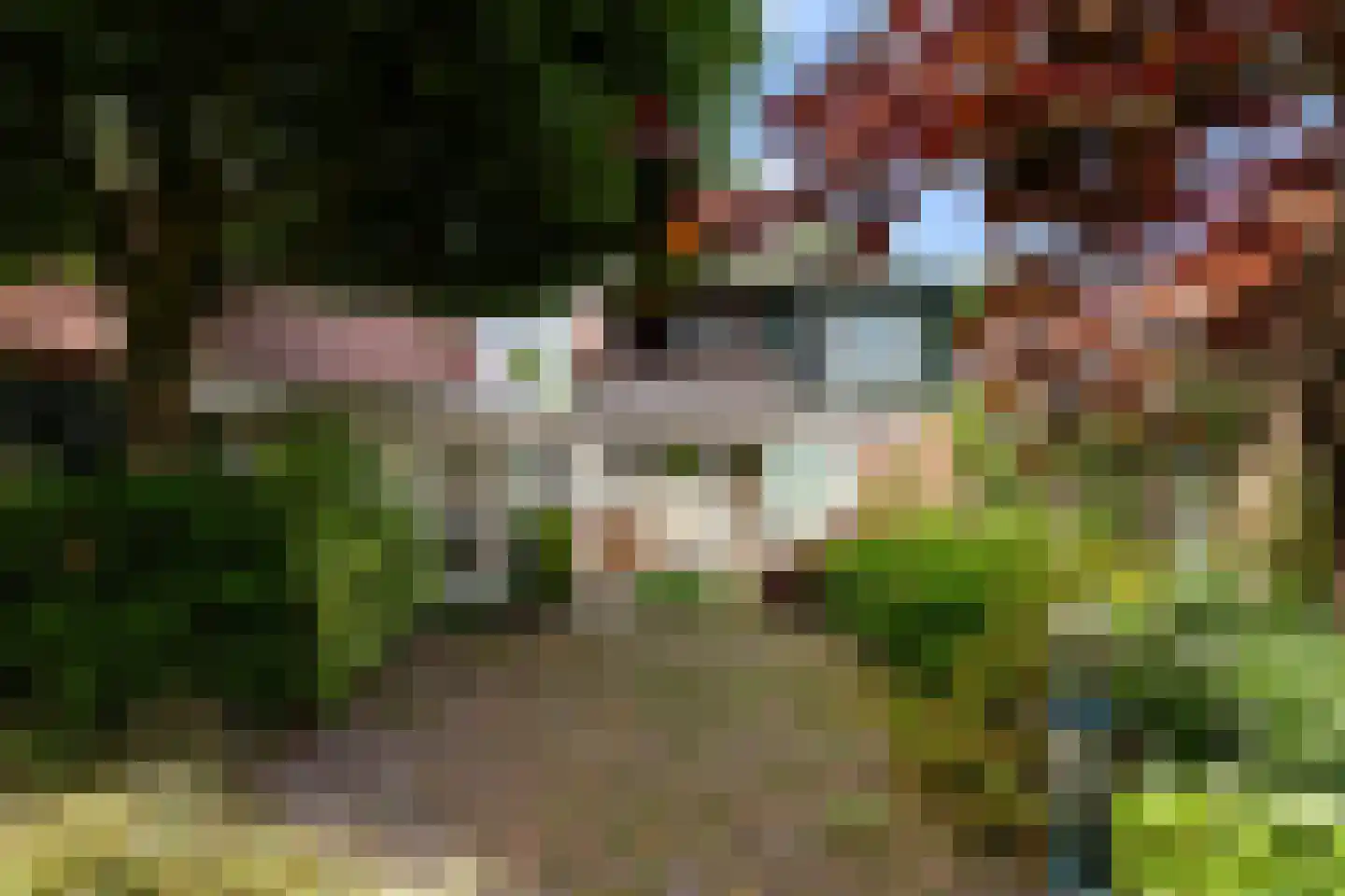 Bermweg 82 Capelle aan den IJssel thumbnail 30