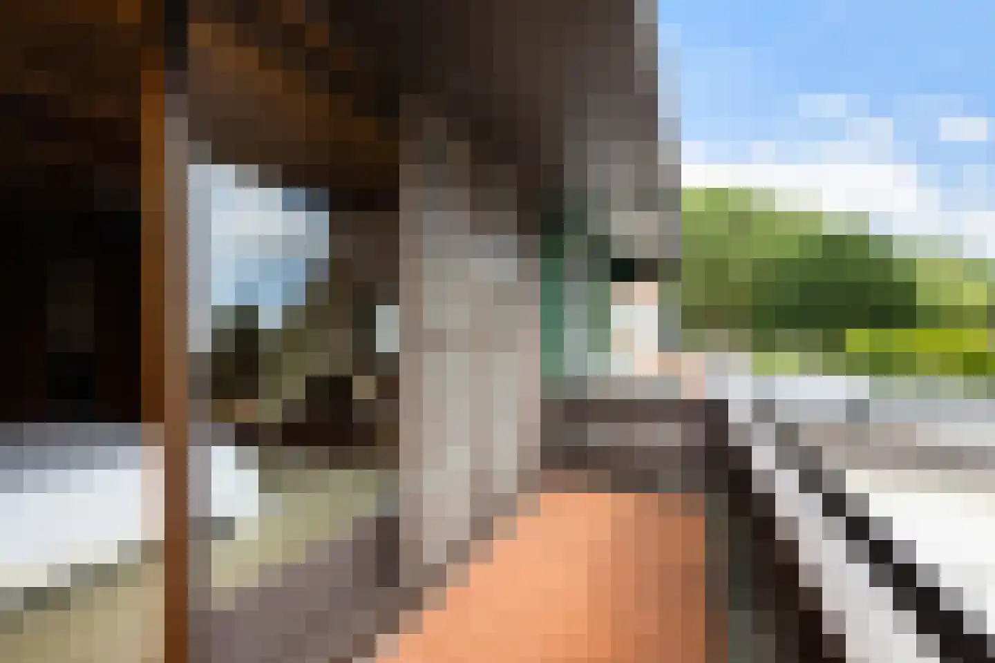Bermweg 82 Capelle aan den IJssel thumbnail 39