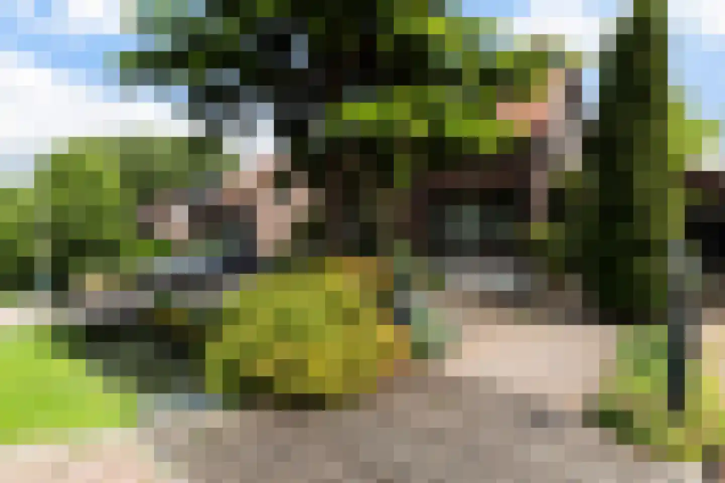 Bermweg 82 Capelle aan den IJssel thumbnail 4