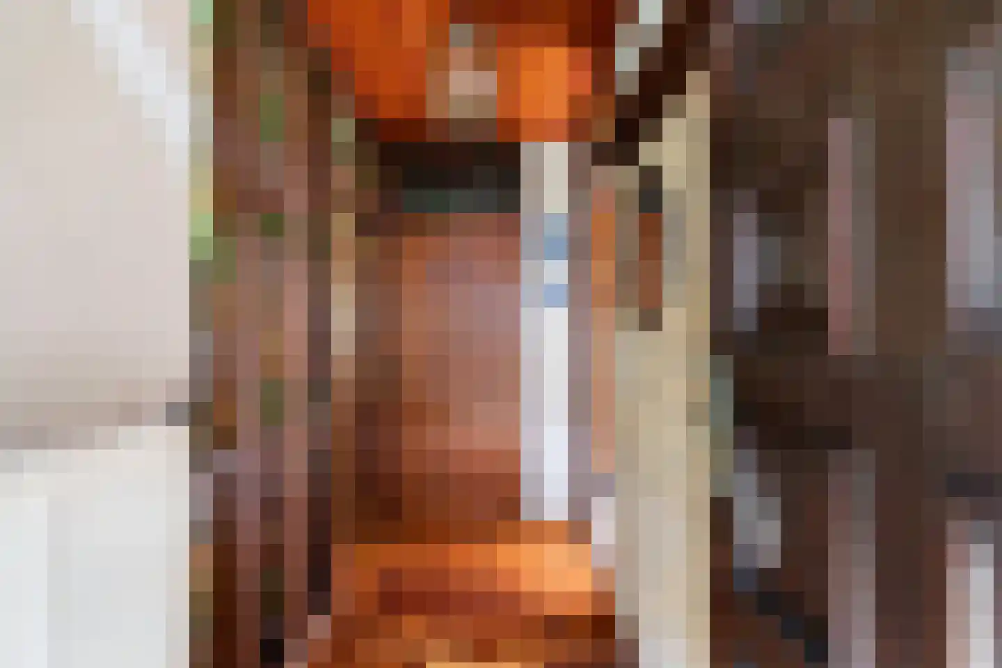 Bermweg 82 Capelle aan den IJssel thumbnail 5