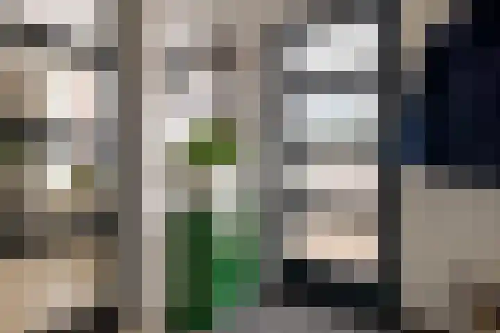 Bermzegge 6 Zwolle thumbnail 10