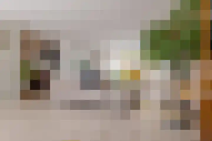 Bermzegge 6 Zwolle thumbnail 12
