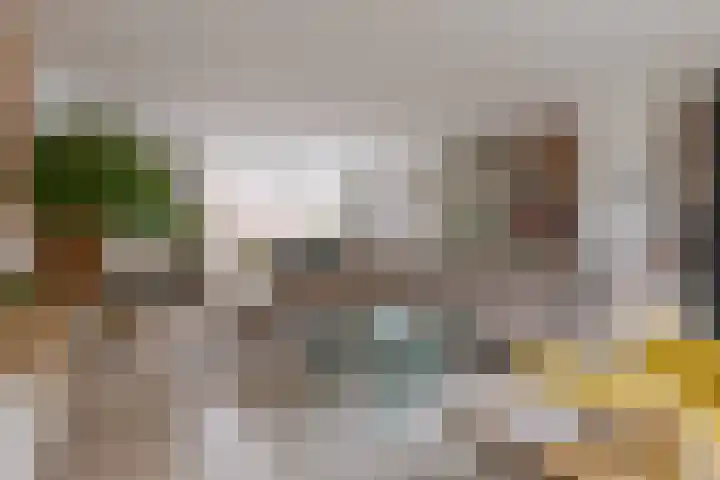 Bermzegge 6 Zwolle thumbnail 14