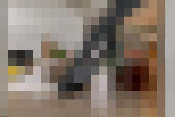 Bermzegge 6 Zwolle thumbnail 17