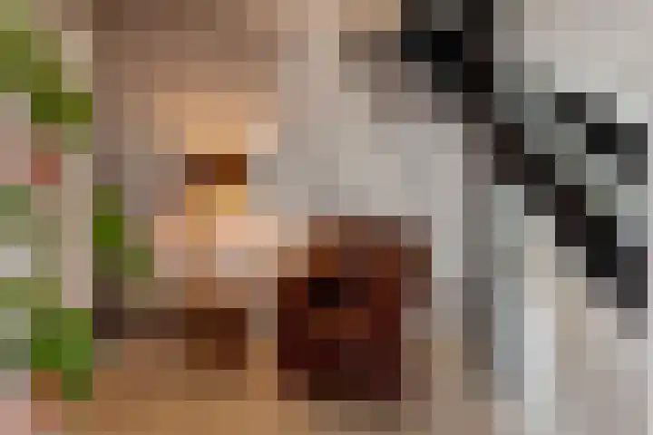 Bermzegge 6 Zwolle thumbnail 18