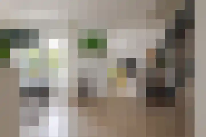 Bermzegge 6 Zwolle thumbnail 20