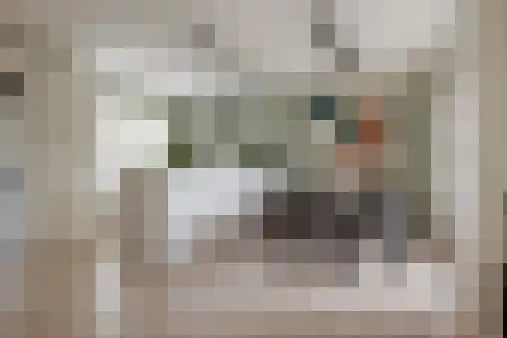 Bermzegge 6 Zwolle thumbnail 22