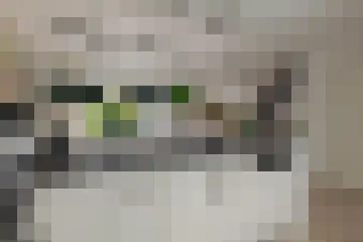 Bermzegge 6 Zwolle thumbnail 26