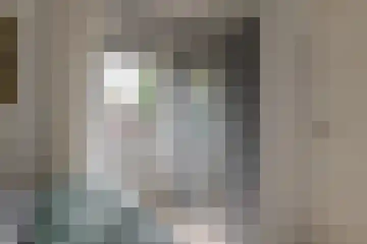 Bermzegge 6 Zwolle thumbnail 30