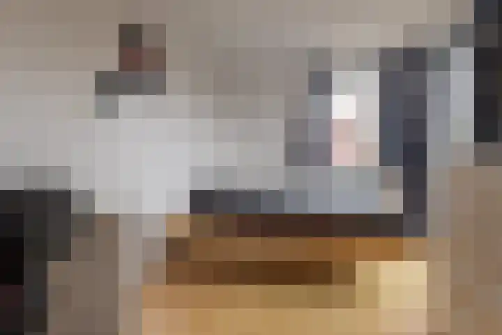 Bermzegge 6 Zwolle thumbnail 33