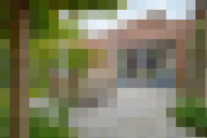 Bermzegge 6 Zwolle thumbnail 4