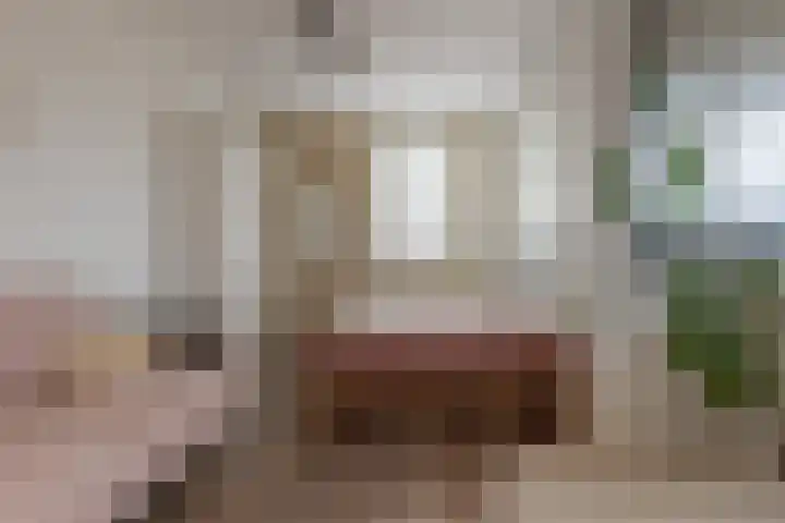 Bermzegge 6 Zwolle thumbnail 42