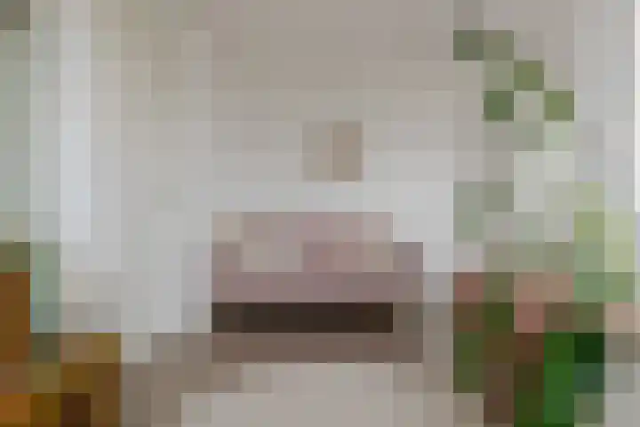 Bermzegge 6 Zwolle thumbnail 43