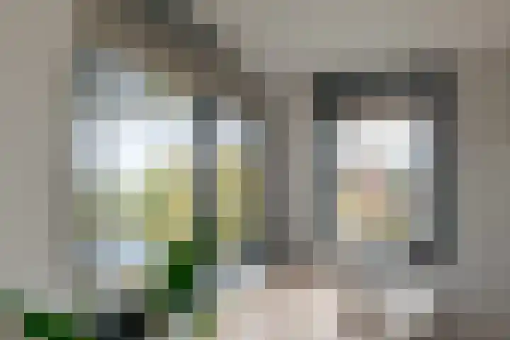 Bermzegge 6 Zwolle thumbnail 45