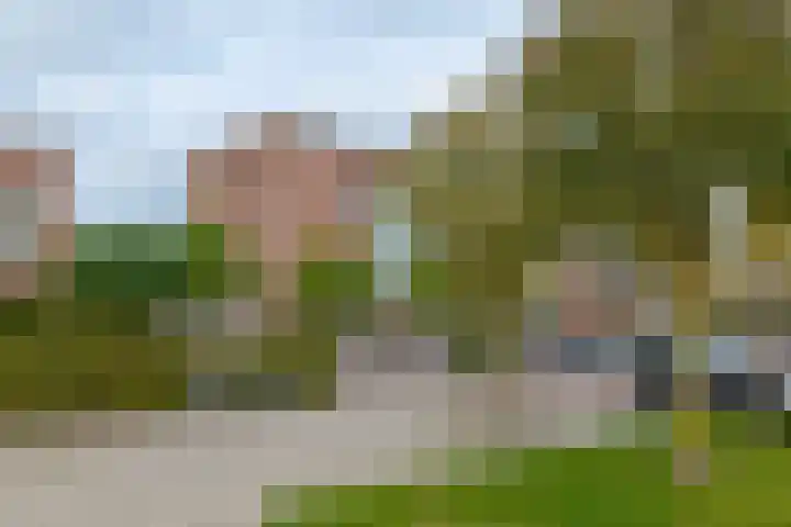 Bermzegge 6 Zwolle thumbnail 5