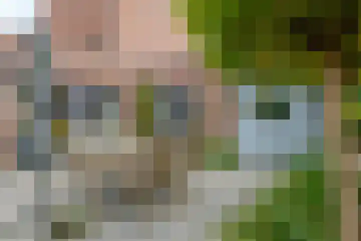 Bermzegge 6 Zwolle thumbnail 50