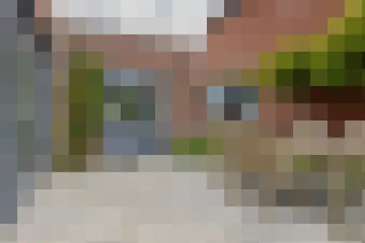 Bermzegge 6 Zwolle thumbnail 51