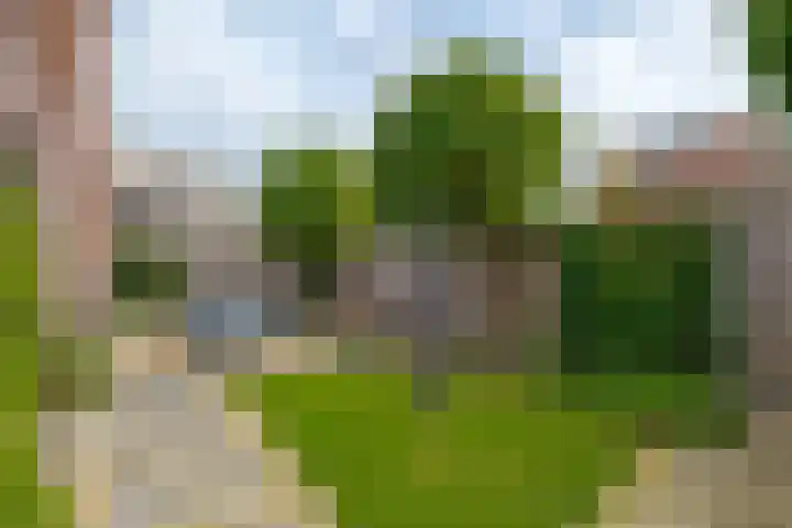 Bermzegge 6 Zwolle thumbnail 53