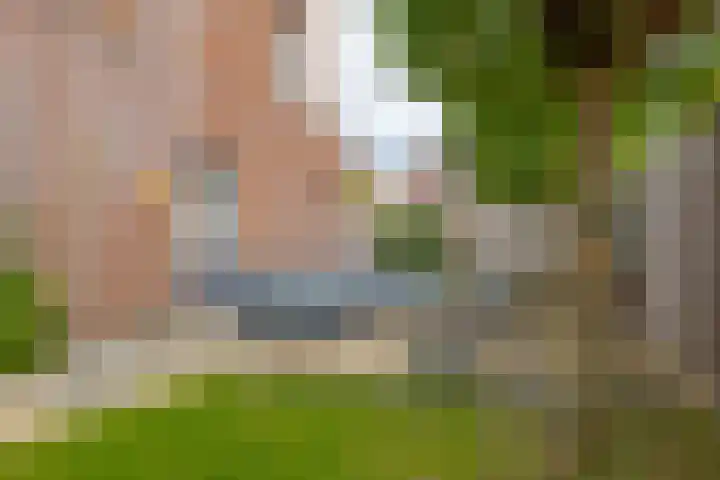 Bermzegge 6 Zwolle thumbnail 54