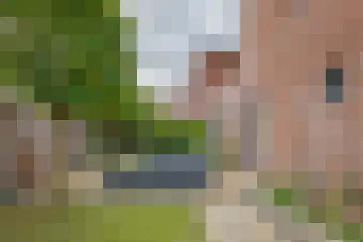 Bermzegge 6 Zwolle thumbnail 55