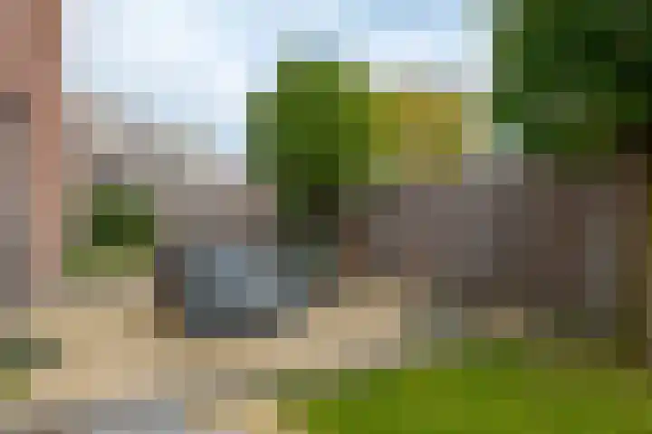 Bermzegge 6 Zwolle thumbnail 56