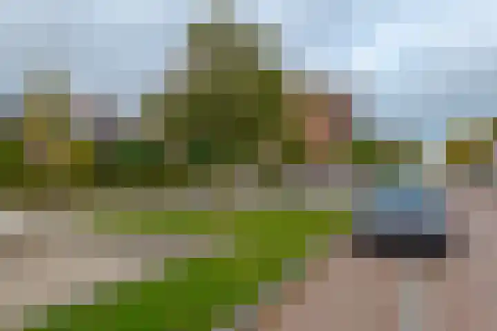 Bermzegge 6 Zwolle thumbnail 57