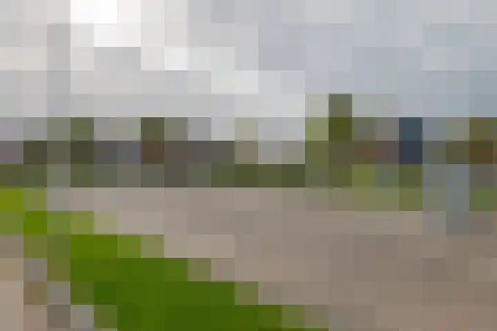 Bermzegge 6 Zwolle thumbnail 58