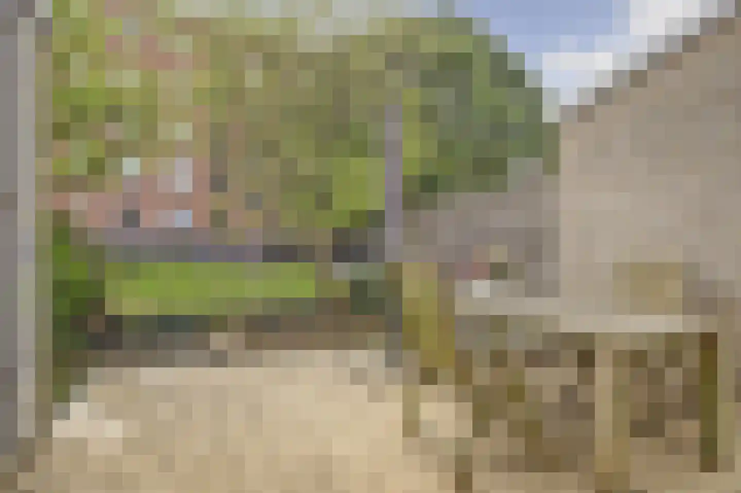 Bernabeuhof 48 Amsterdam thumbnail 6