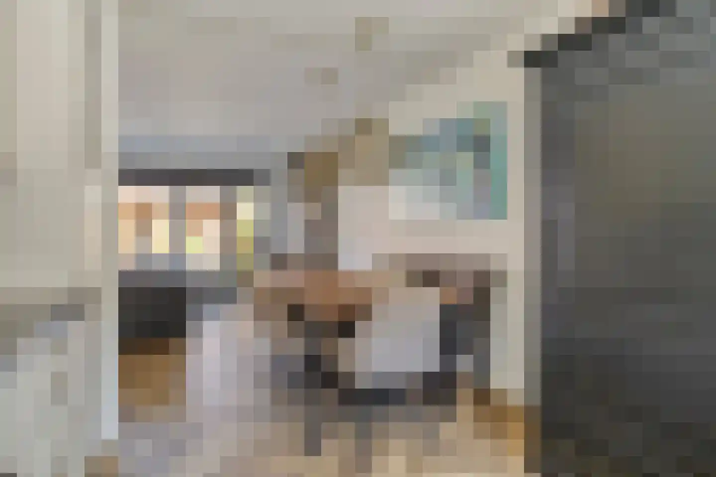 Bernadettegang 10 Zoetermeer thumbnail 12