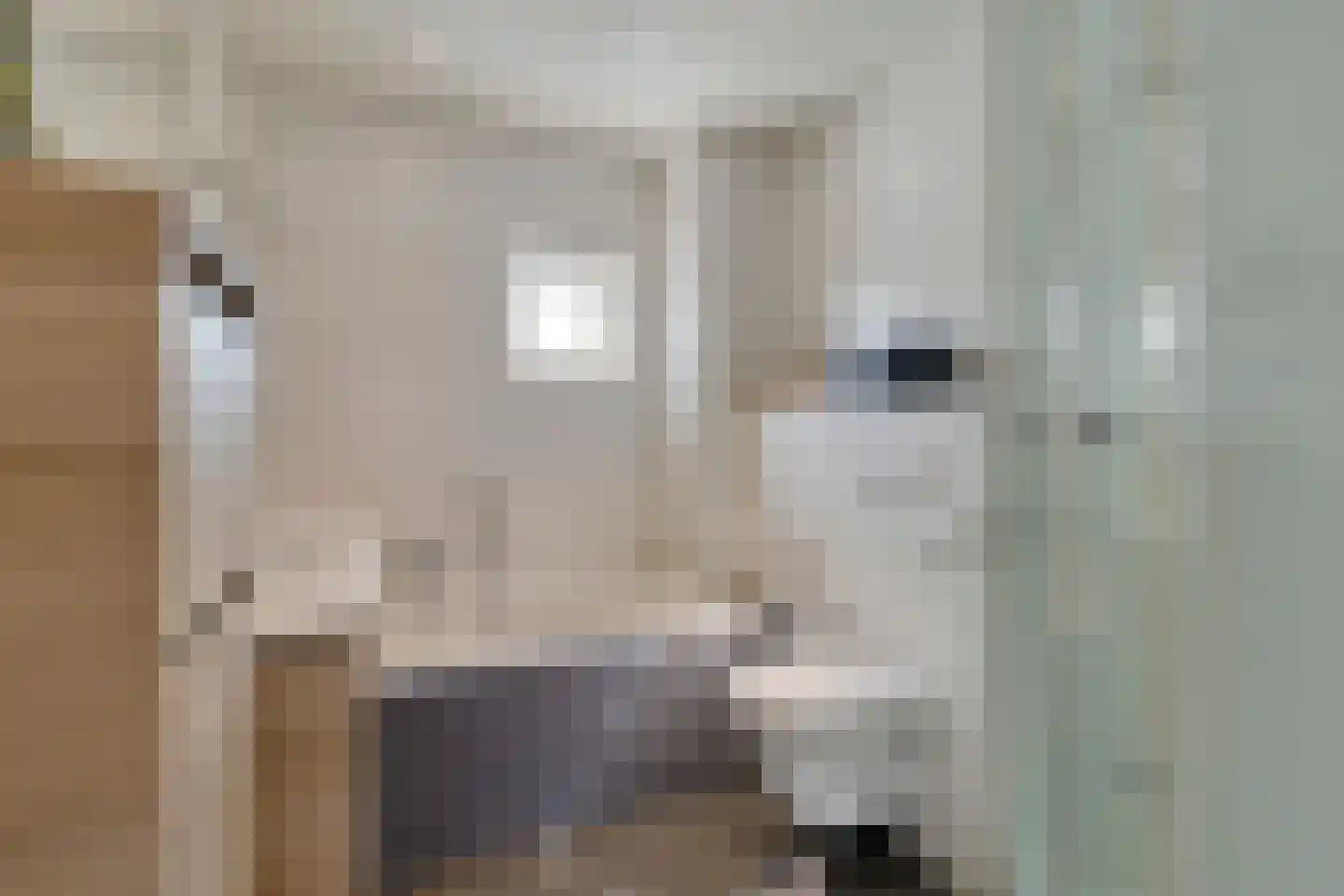 Bernadettegang 10 Zoetermeer thumbnail 13
