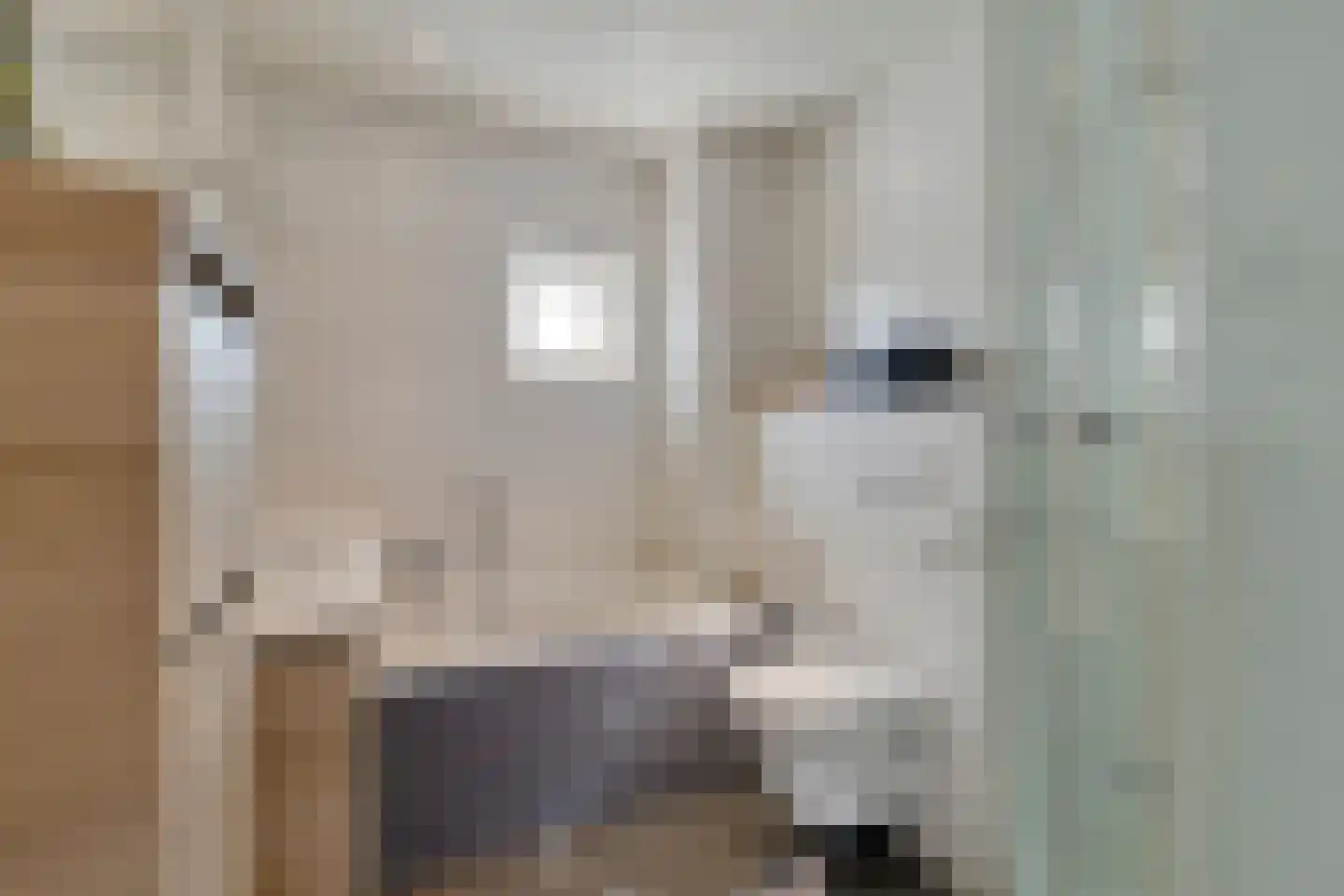Bernadettegang 10 Zoetermeer thumbnail 14