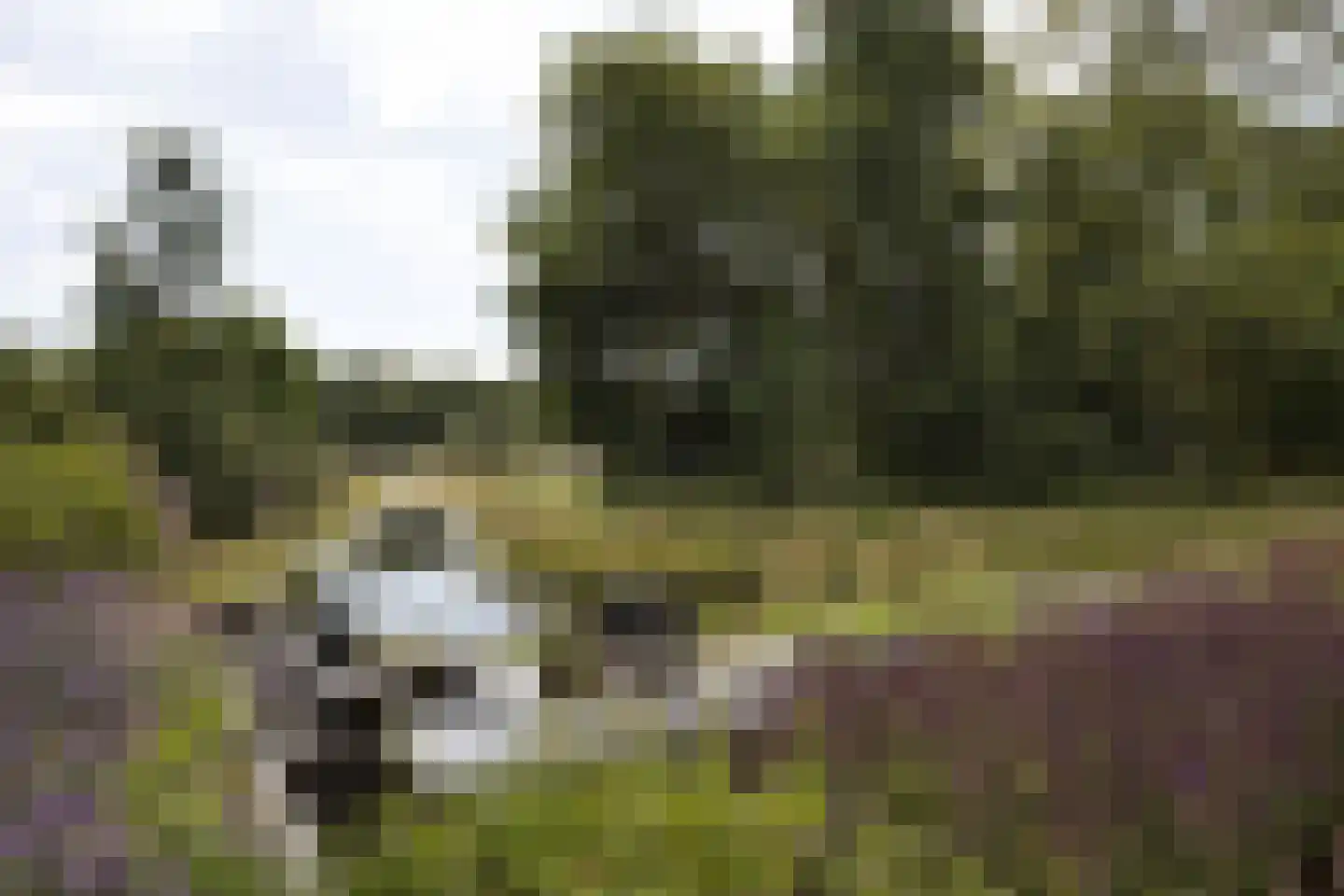 Bernadettelaan 1 Noordwijkerhout thumbnail 24