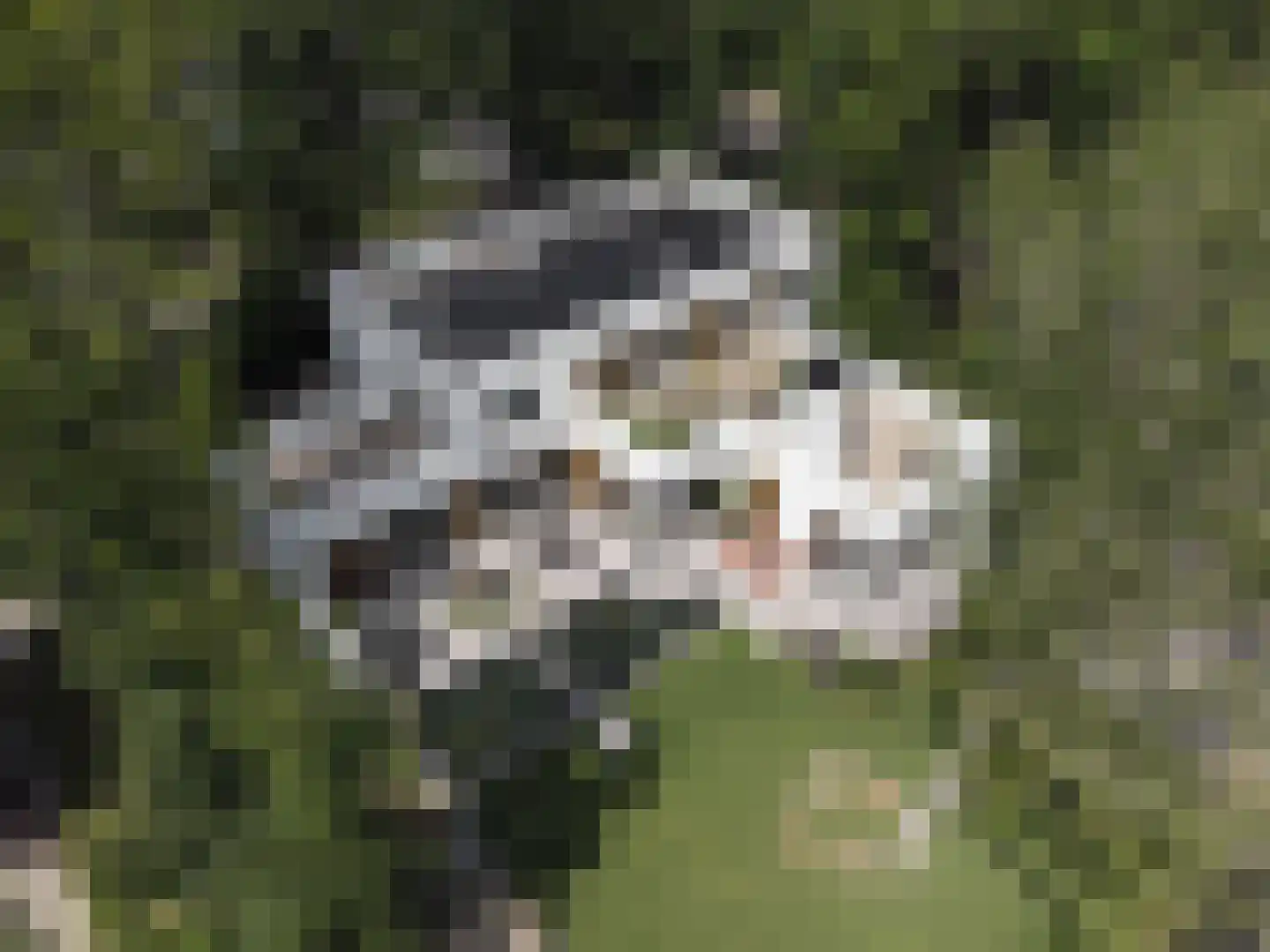 Bernadettelaan 1 Noordwijkerhout thumbnail 30