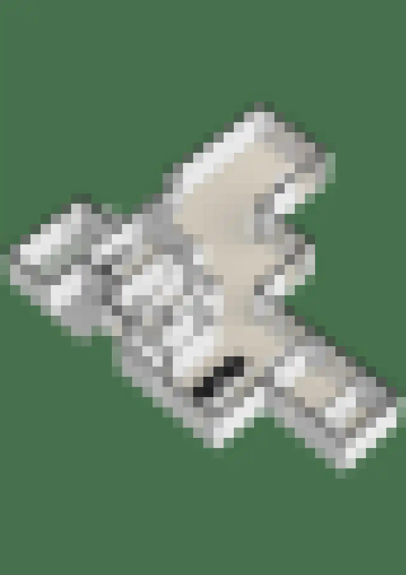 Bernadettelaan 1 Noordwijkerhout thumbnail 33