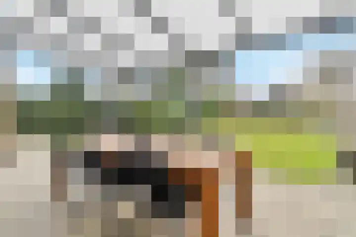 Bernadettelaan 10 Landgraaf thumbnail 13