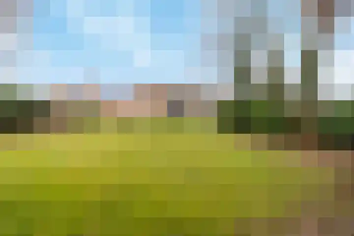 Bernadettelaan 10 Landgraaf thumbnail 15
