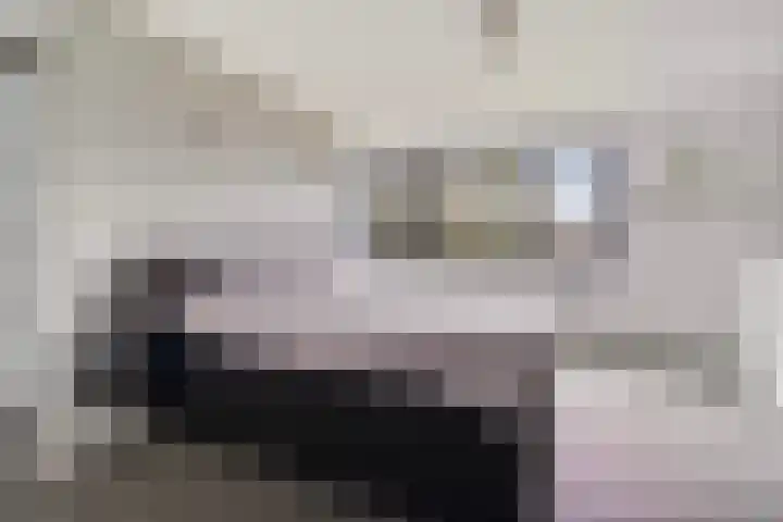 Bernadettelaan 10 Landgraaf thumbnail 22