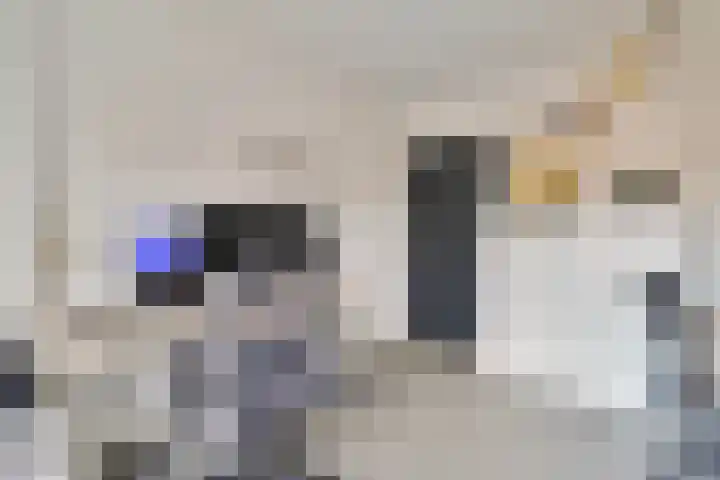 Bernadettelaan 10 Landgraaf thumbnail 34