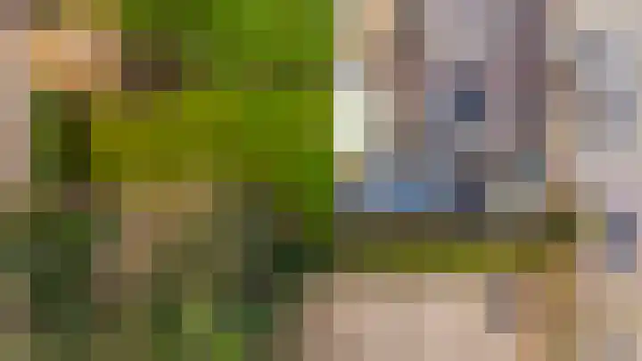 Bernadettelaan 10 Landgraaf thumbnail 40