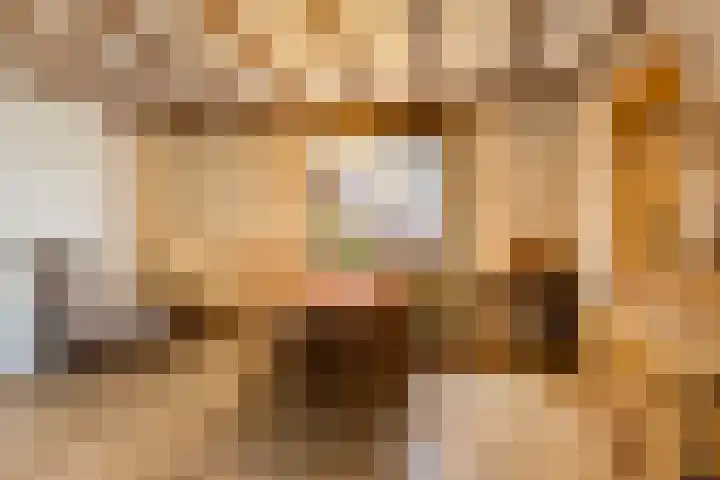 Bernadettelaan 14 Tienray thumbnail 10