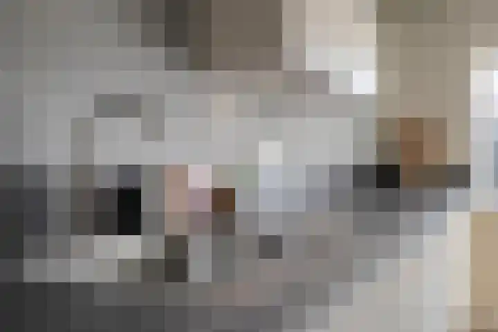 Bernadettelaan 14 Tienray thumbnail 15