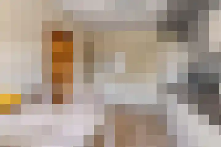 Bernadettelaan 14 Tienray thumbnail 17