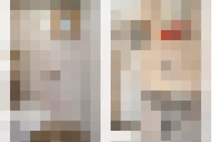 Bernadettelaan 14 Tienray thumbnail 20