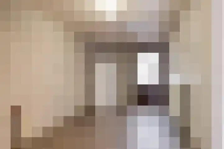 Bernadettelaan 14 Tienray thumbnail 21