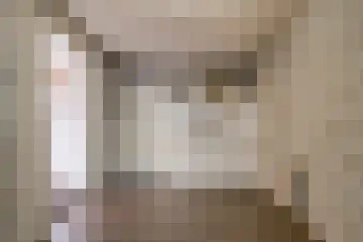 Bernadettelaan 14 Tienray thumbnail 22